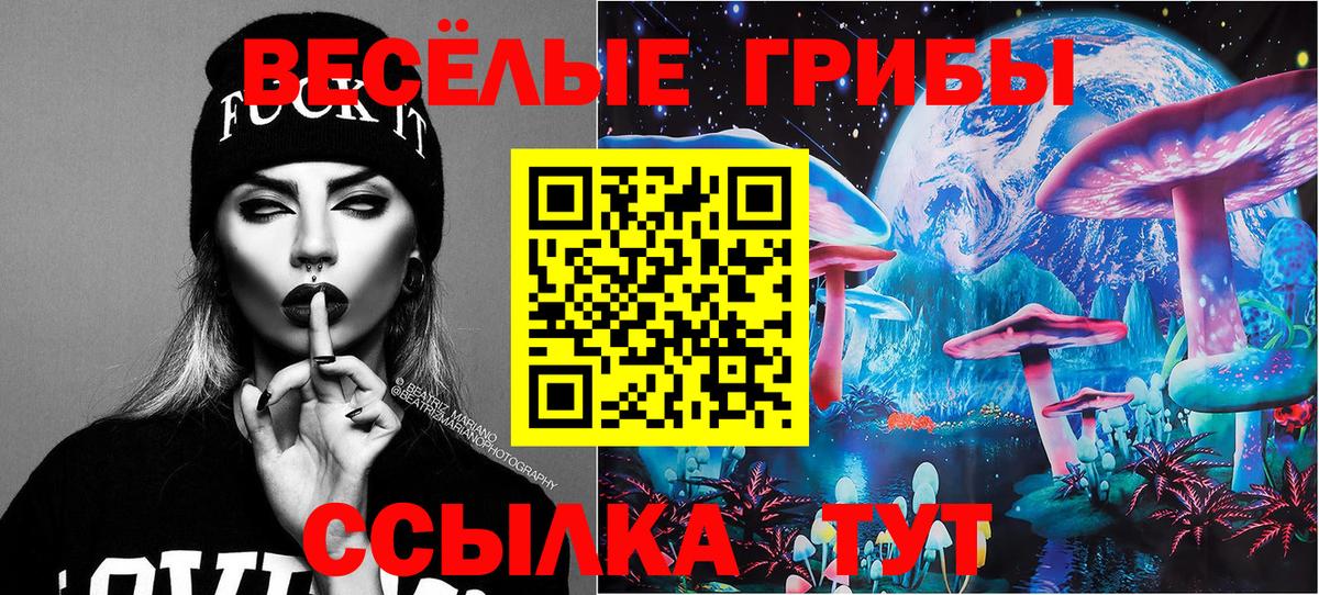 Галлюциногенные грибы Psilocybe  Вход с VPN  Феодосия 
