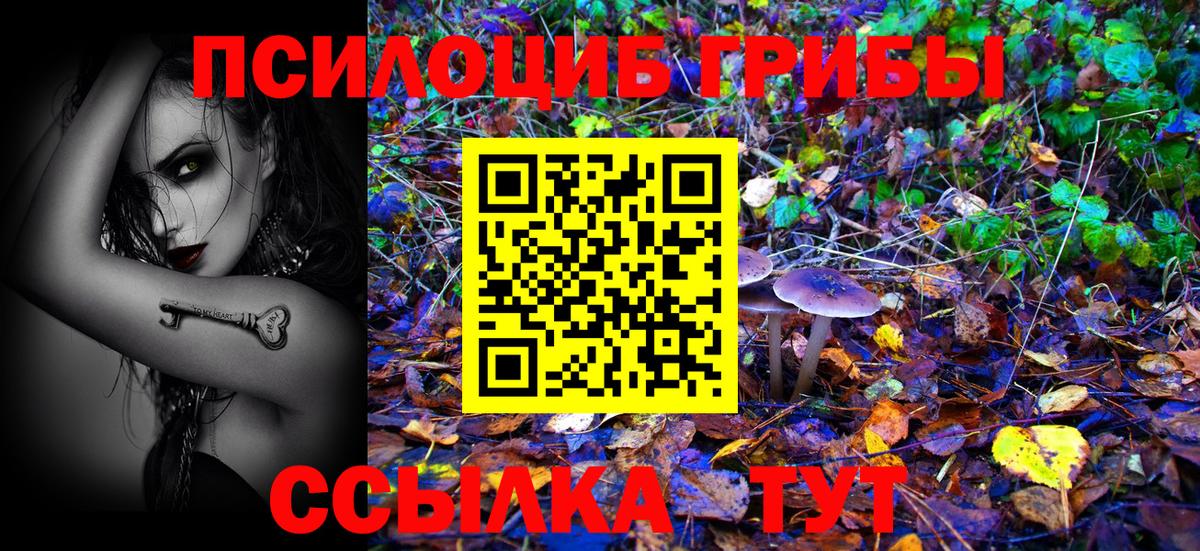Галлюциногенные грибы Psilocybe Феодосия